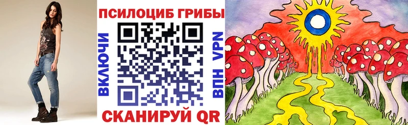 Купить закладки Мураши Псилоцибиновые грибы ЛСД