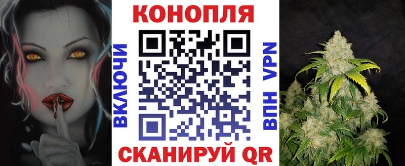 Купить  Мураши  Бошки Шишки Amnesia 